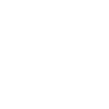 Netball Queensland